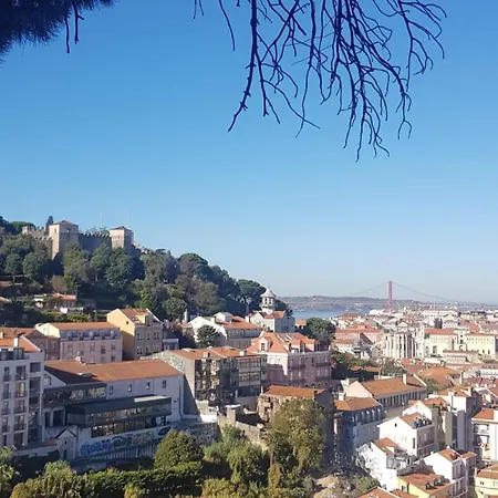 Seabird Lisbon *